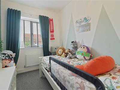 Picture 16